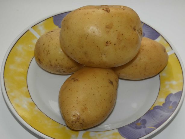 Продам картоплю "КАРРЕРА"