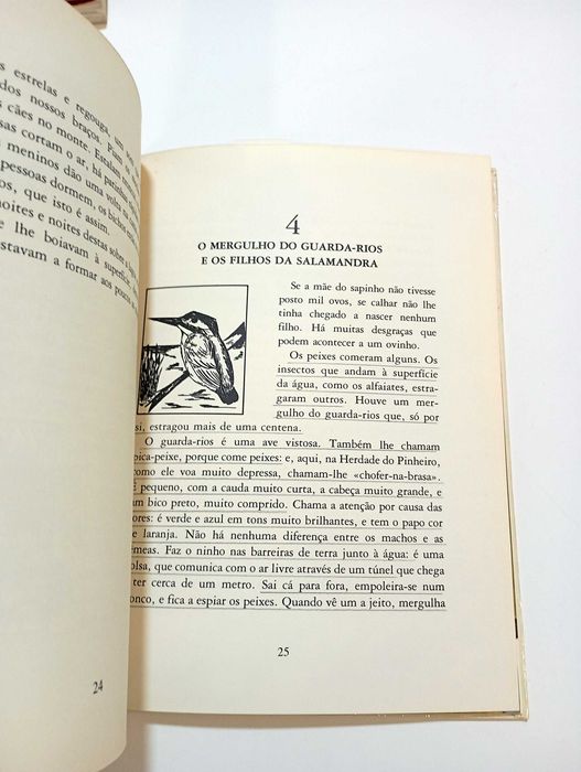 O Sapo Francisquinho - Clara Pinto Correia