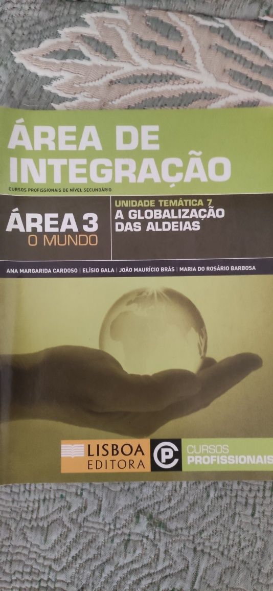 Ensino profissional área de integração