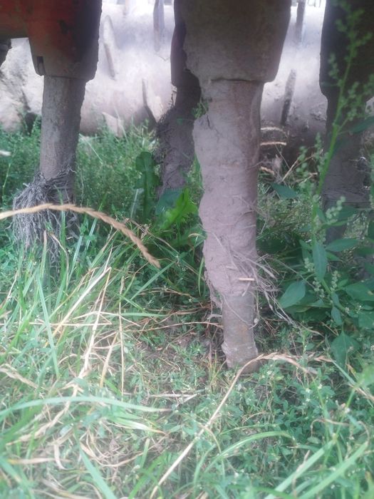 Agregat uprawowo siewny RAU CW30 agregat nie Amazone