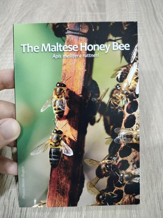 Moeda Comemorativa BNC 2€ Abelha Malta 2025