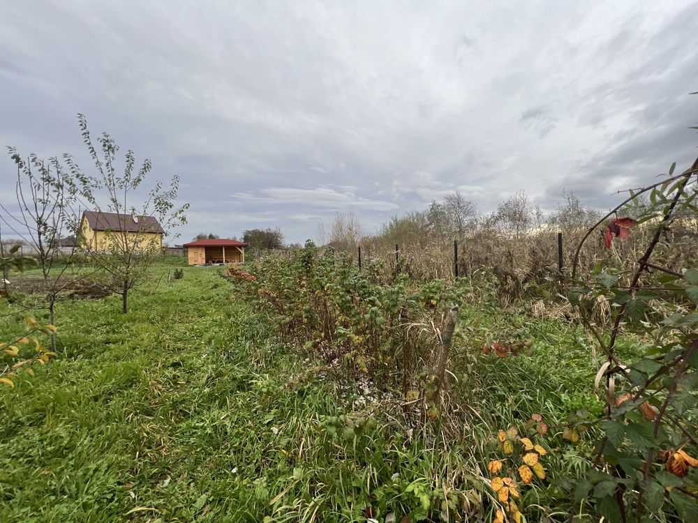 Продаж дачної ділянки в с .Суховоля ( думанів ) площа 13 сотих
