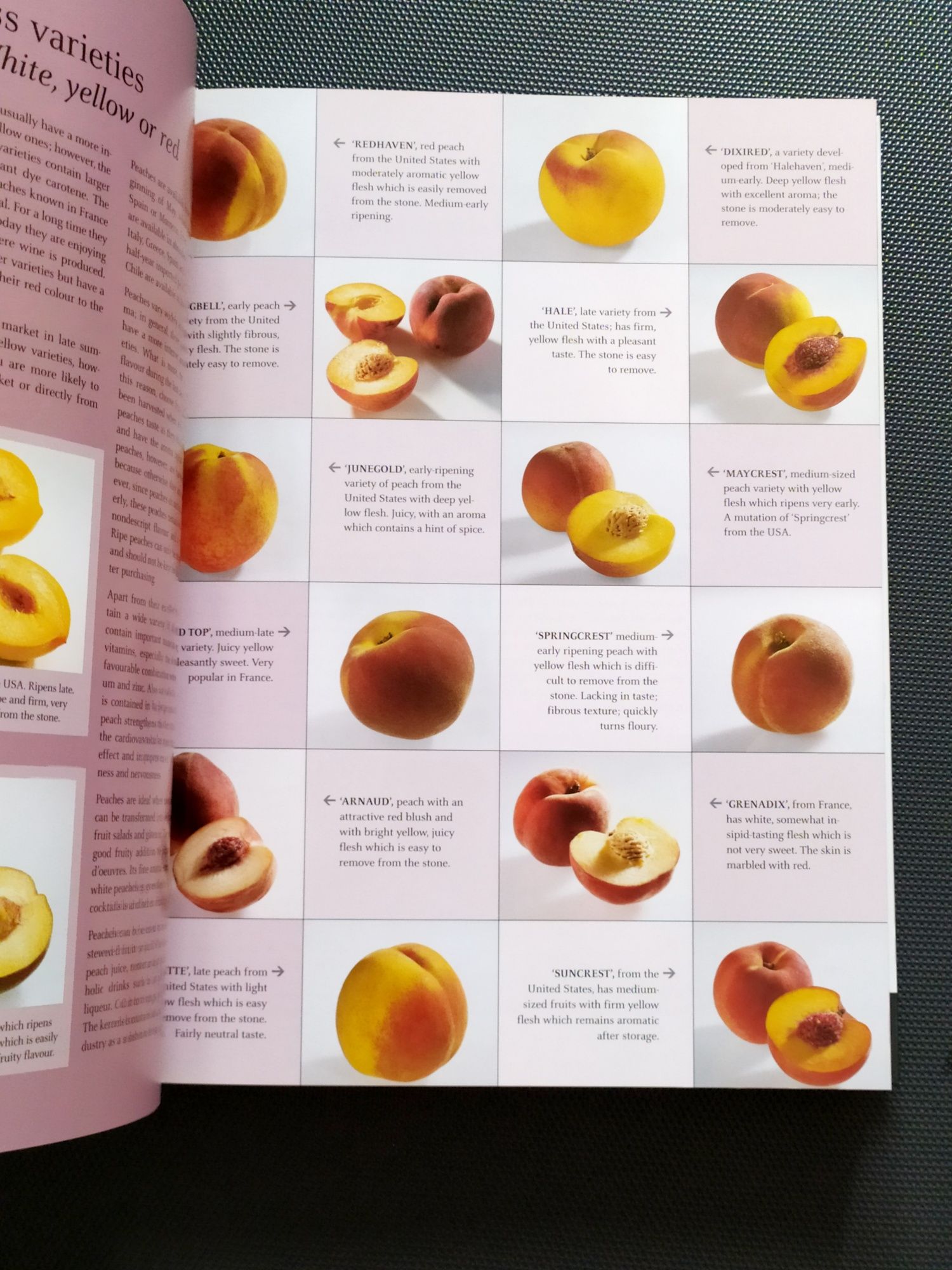 ОВОЩИ и ФРУКТЫ Тойбнер Кулинарная книга Teubner Специи Мясо и Дичь