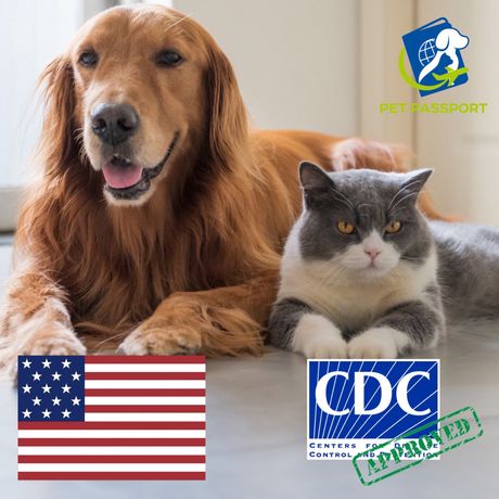 Переезд в США с собакой, ветертнарные документы, получение CDC
