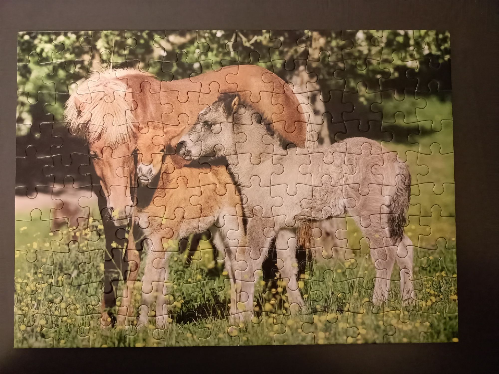 Puzzle Castorland kucyki na łące