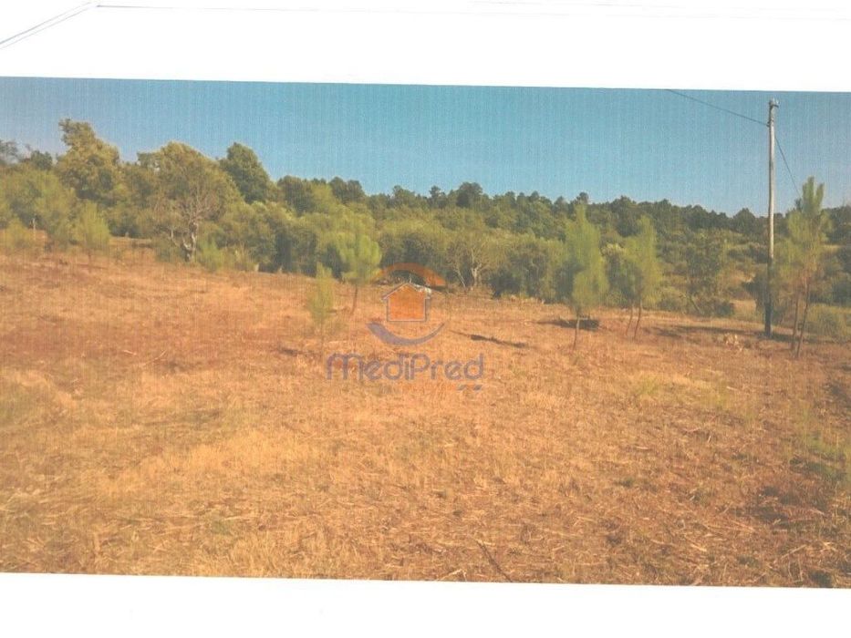 Terreno Rústico com 13200m2 em Covas e V. N. de Oliveirinha