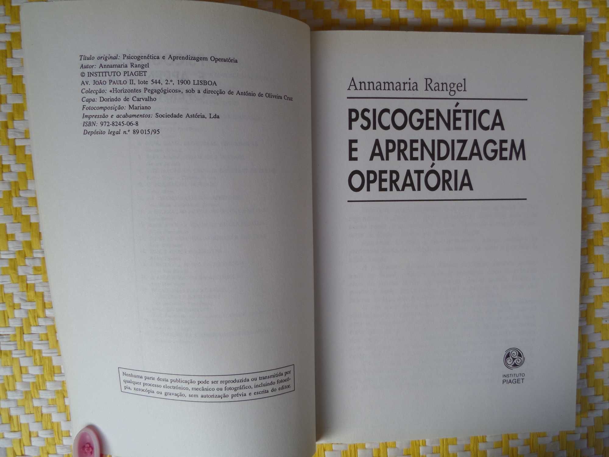 Psicogenética e aprendizagem operatória
de Annamaria Rangel