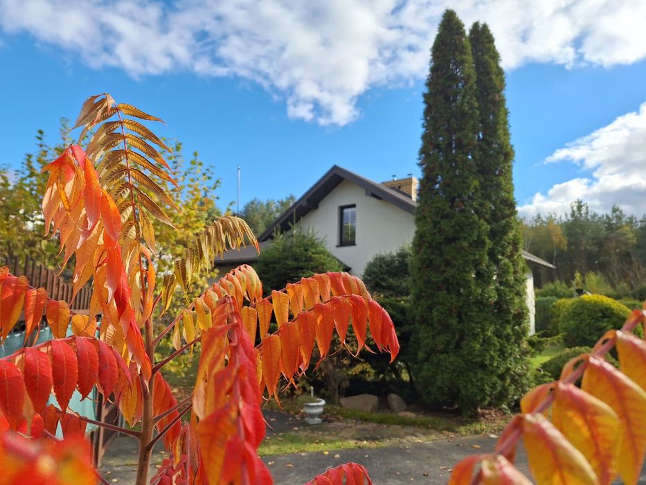 Dom z 2002 roku parterowy 75m2 z poddaszem.działka 1320 m2