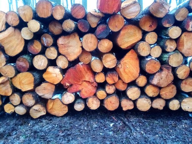 Drewno kominkowe opałowe użytkowe sezonowane Olcha - TANIO!