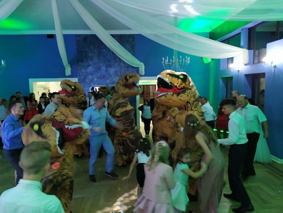 DJ / Wodzirej na wesele