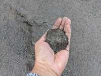 Miał bazaltowy 0-2mm, mączka, piasek, zasypka bazaltowa