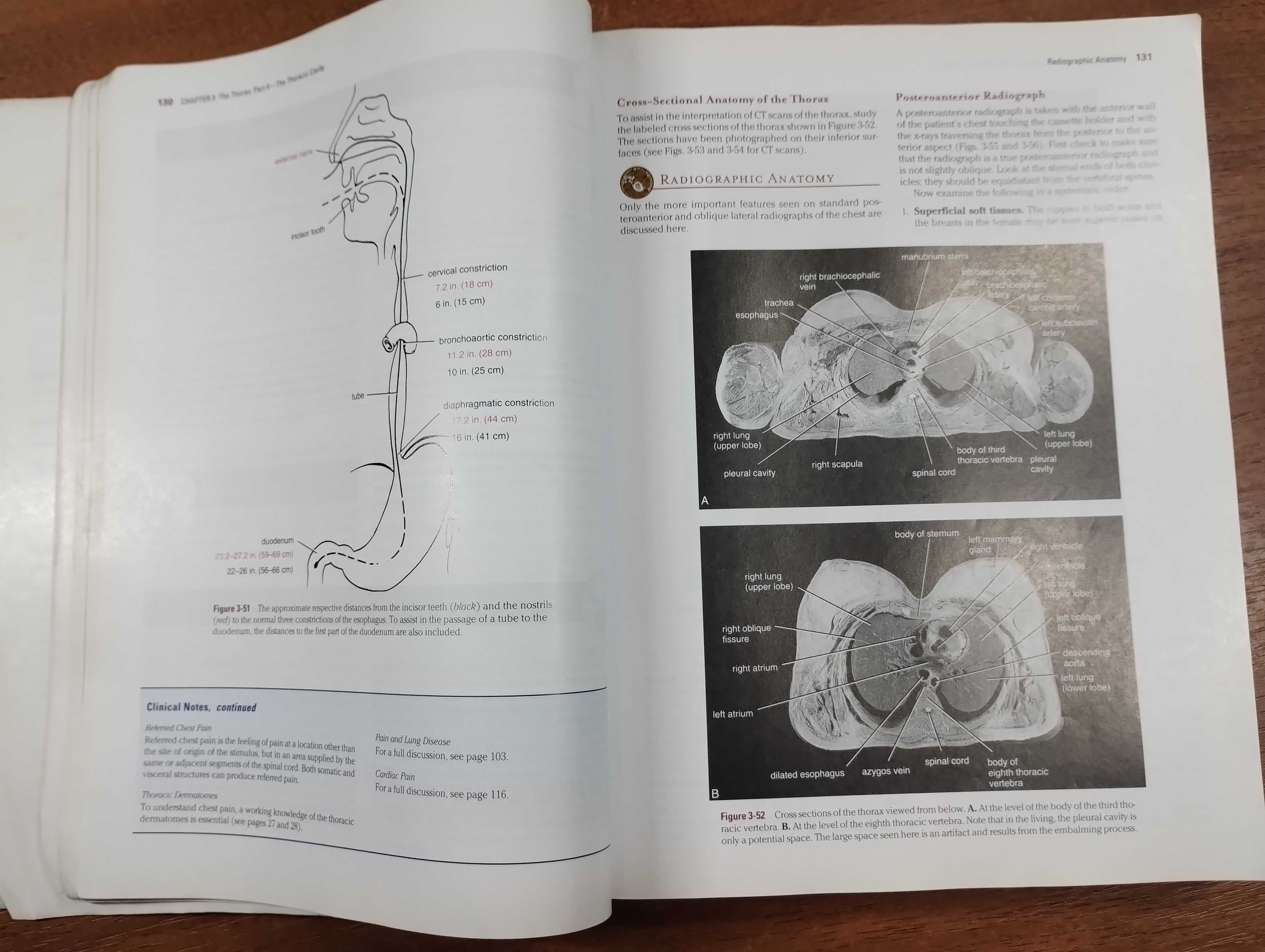 Clinical Anatomy by Regions (Richard Snell, 8th Edition)