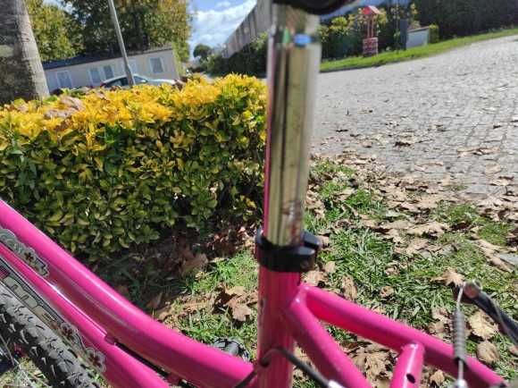 Bicicleta Menina