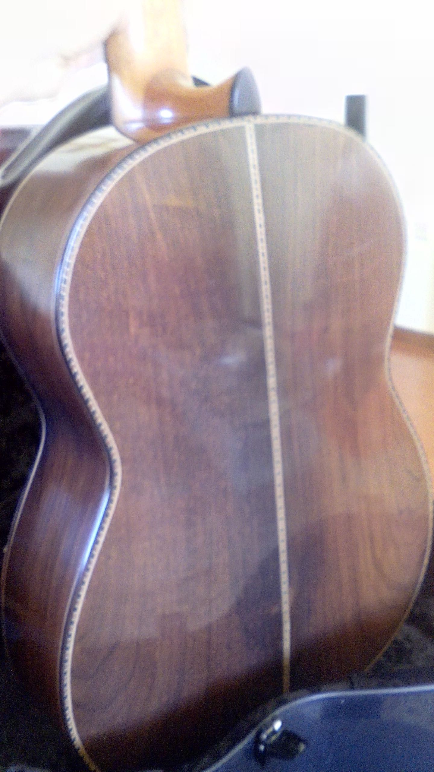 Guitarra de luthier Giannis Paleodimopoulos (grécia) - ESQUERDINA