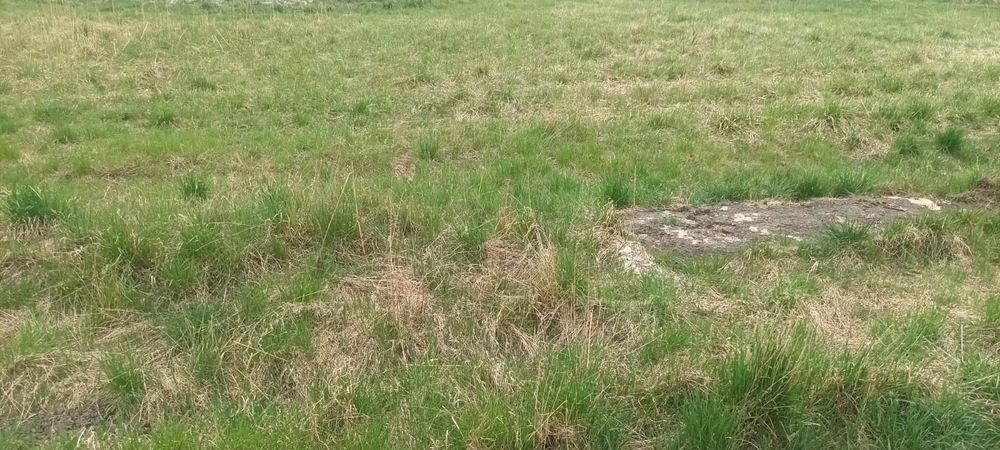 Działka Rokitnica 222/16  1313 m ²