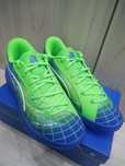 Buty Puma All-pro Nitro Jaylen Brown r.43 niebiesko-zielone