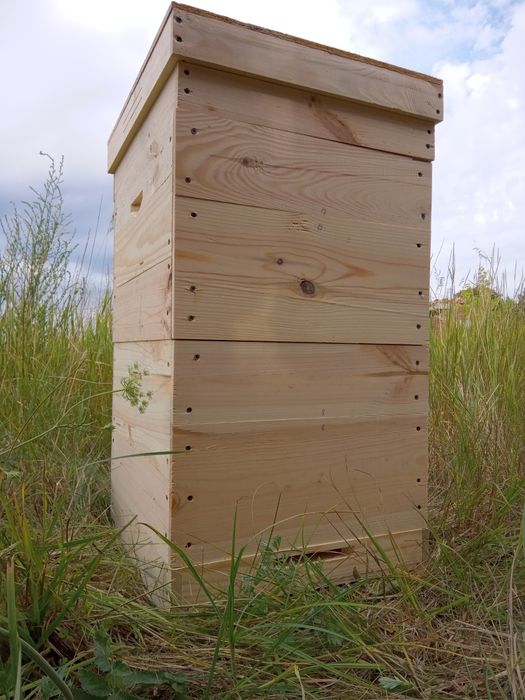 Вулик Дадан, вулики Дадан