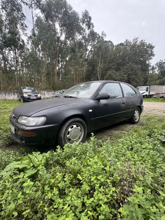Toyota corolla.