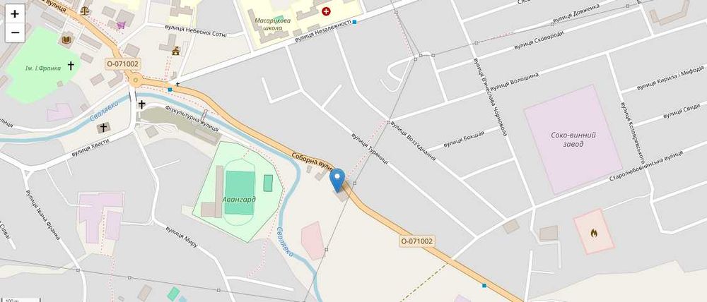 ПРОДАЖ! Фасадна будівля 173м (автошкола) Свалява Соборна,16 Терміново!