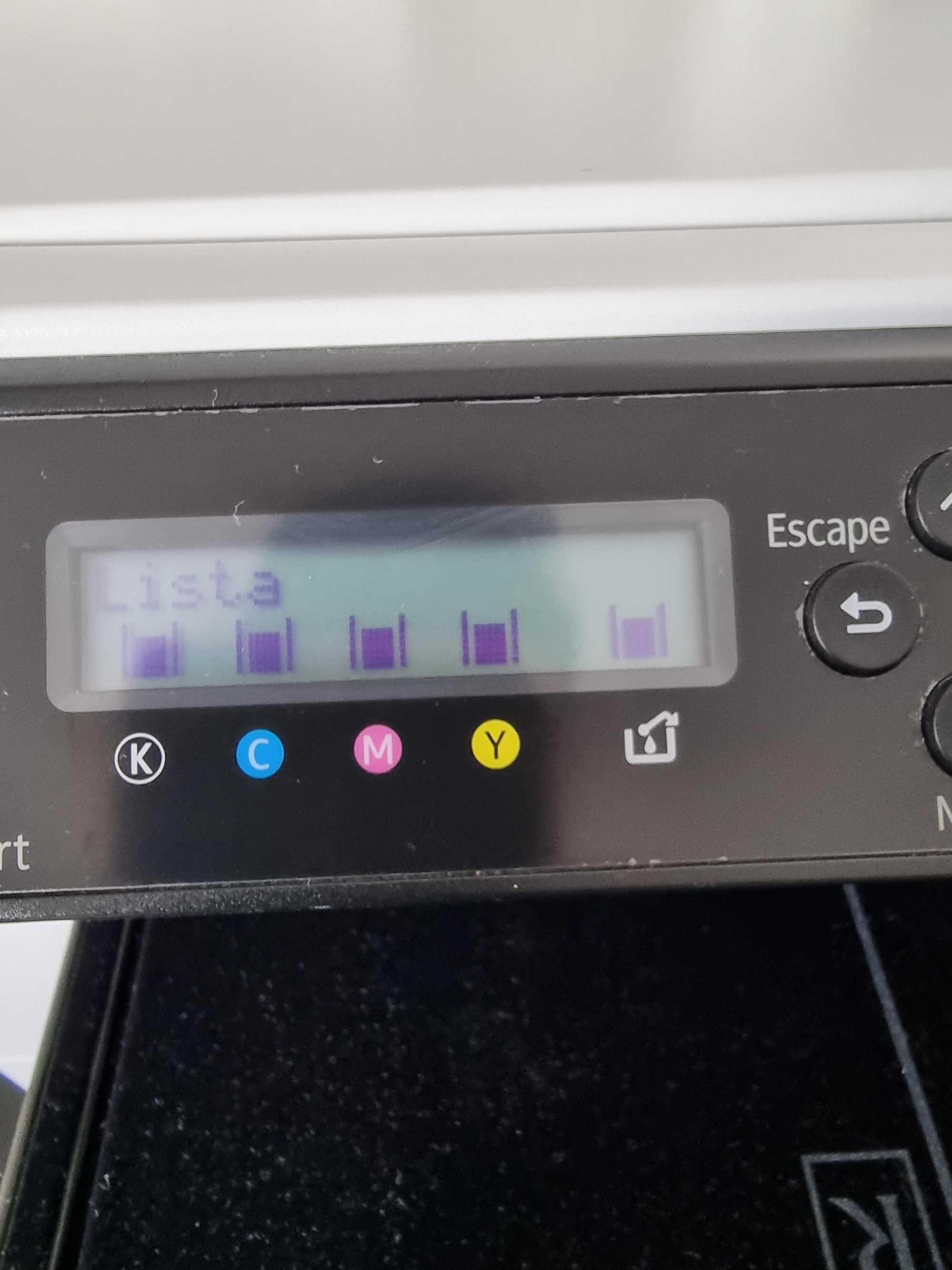 Impressora textil Ricoh R100