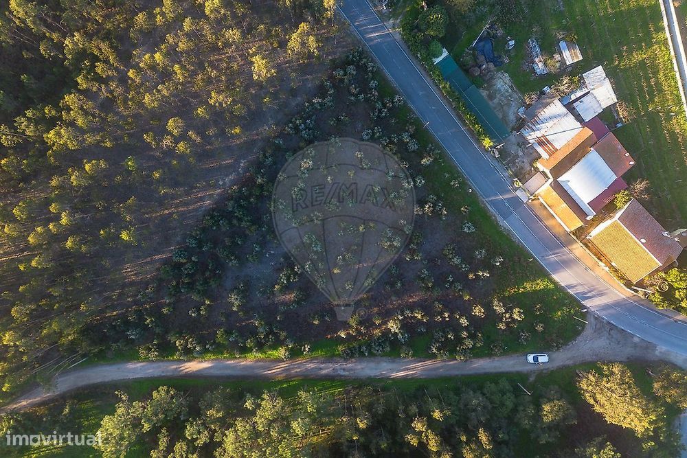 Terreno  para venda