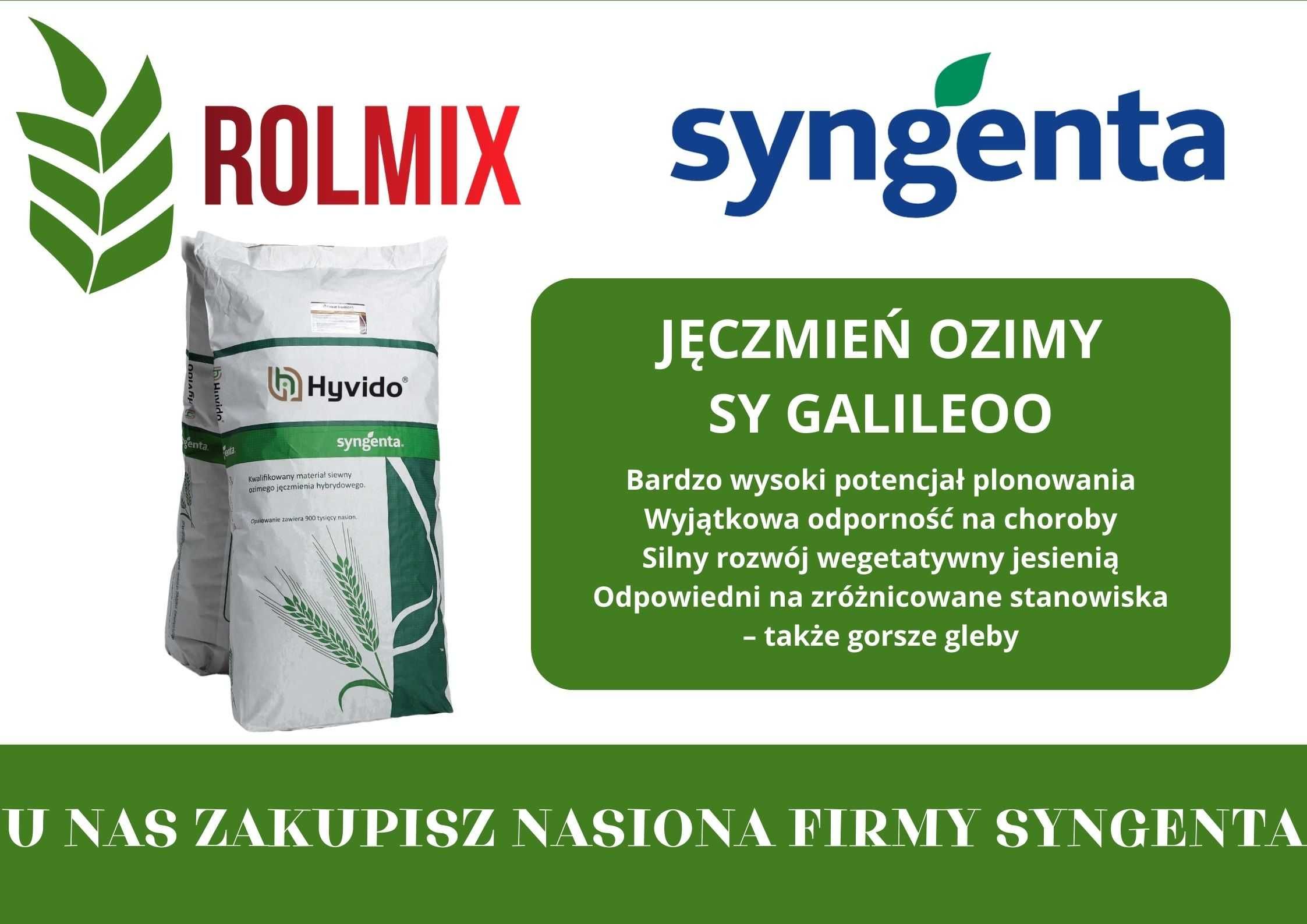 Jęczmień ozimy hybrydowy SY GALILEOO Materiał kwalifikowany