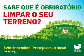 Limpeza de terreno/manutenção de quinta