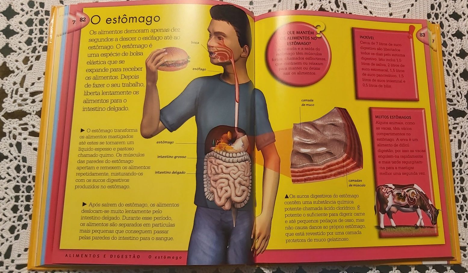 Livro Ilustrado Corpo Humano