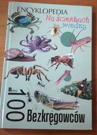 Ksiazka Encyklopedia Na sciezkach wiedzy 100 Bezkregowcow