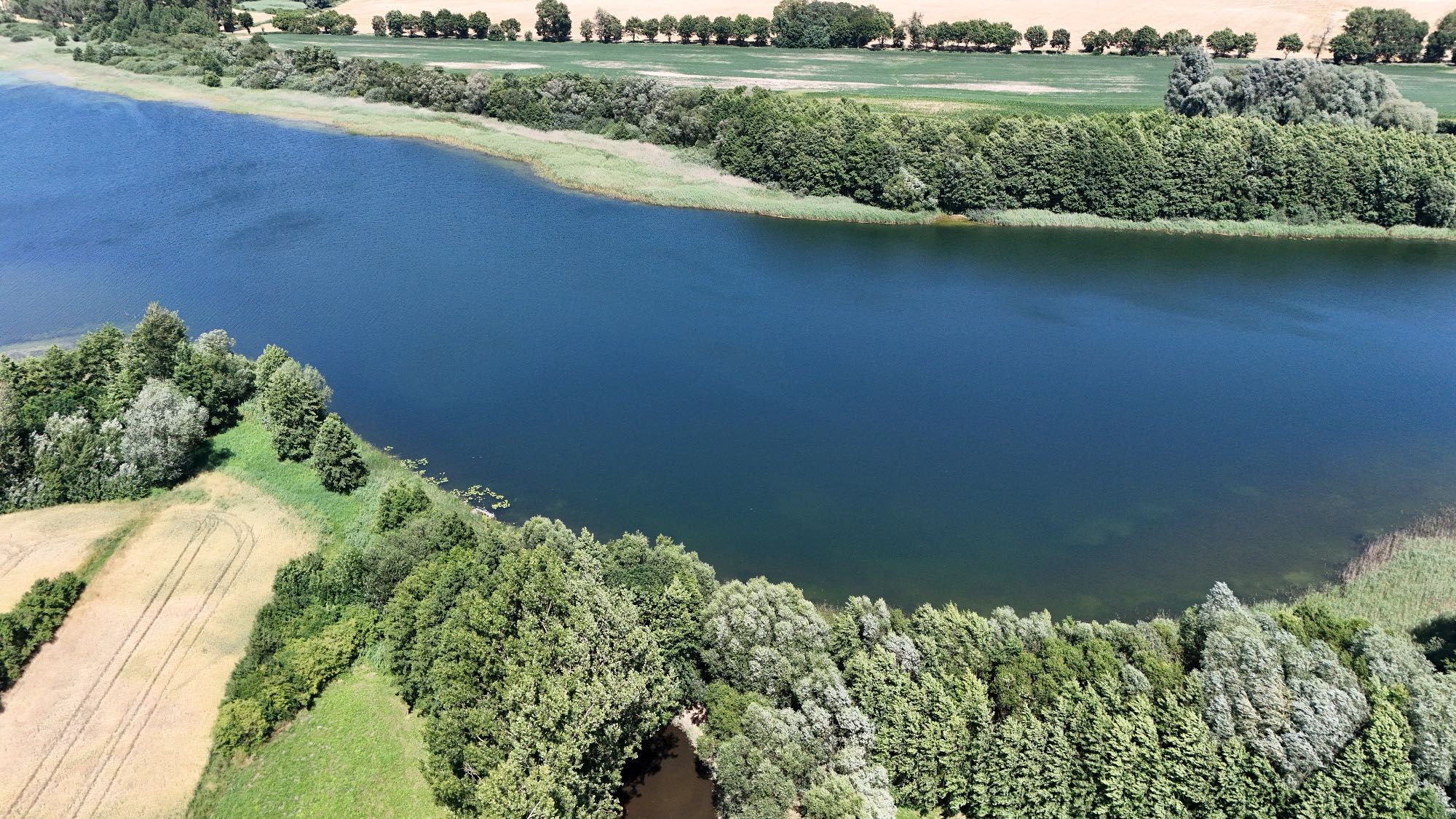 Siedlisko, działka 4181m2 z linią brzegową Ostrowite Prymasowskie