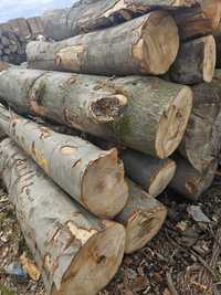 Drewno buk dł 2m