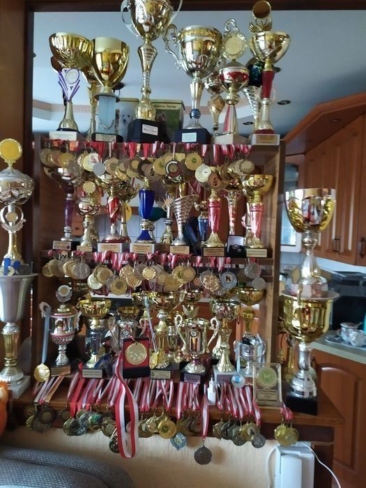 Cudownej urody suczka z metryką ZkwP/FCI Biewer Yorkshire terrier.