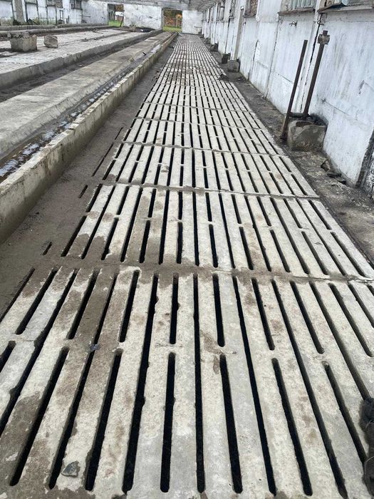 Używane ruszta dla bydła