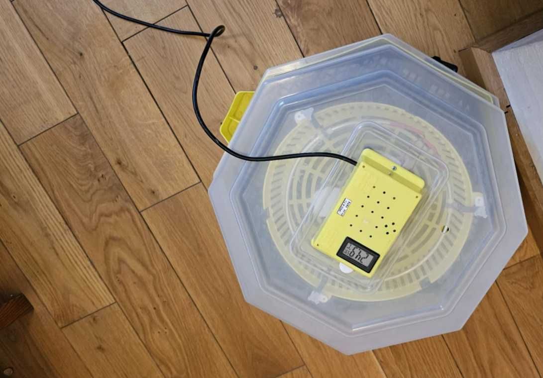 inkubator do jajek od firmy cleo