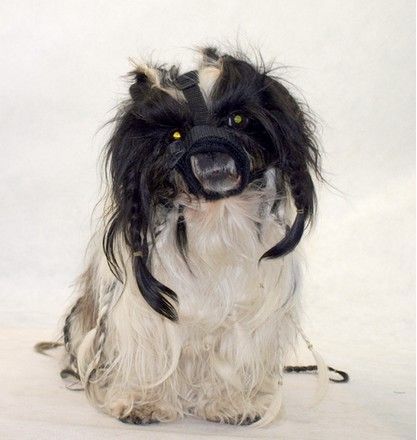 Kaganiec pekińczyk dla psa z krótką kufą - Grande Finale rozmiar 3