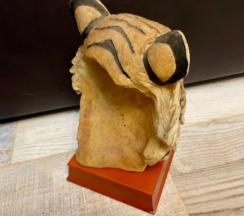 Tigres e outros felinos antigos e vintage