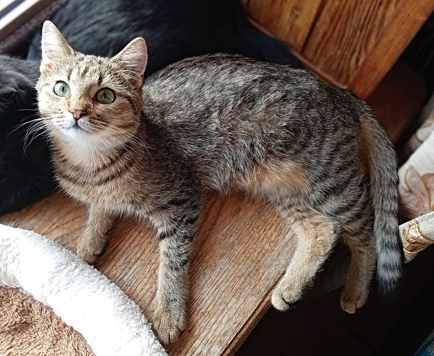 Agatek szuka Człowieka na zawsze - pomożesz :) ?