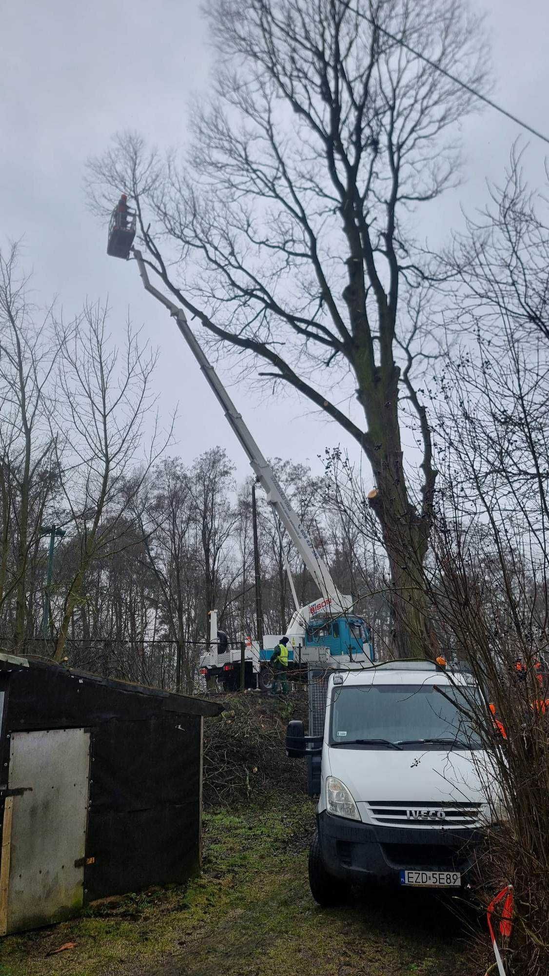 wycinka drzew nasadzenia ogrody roboty ziemne koparka wywrotka