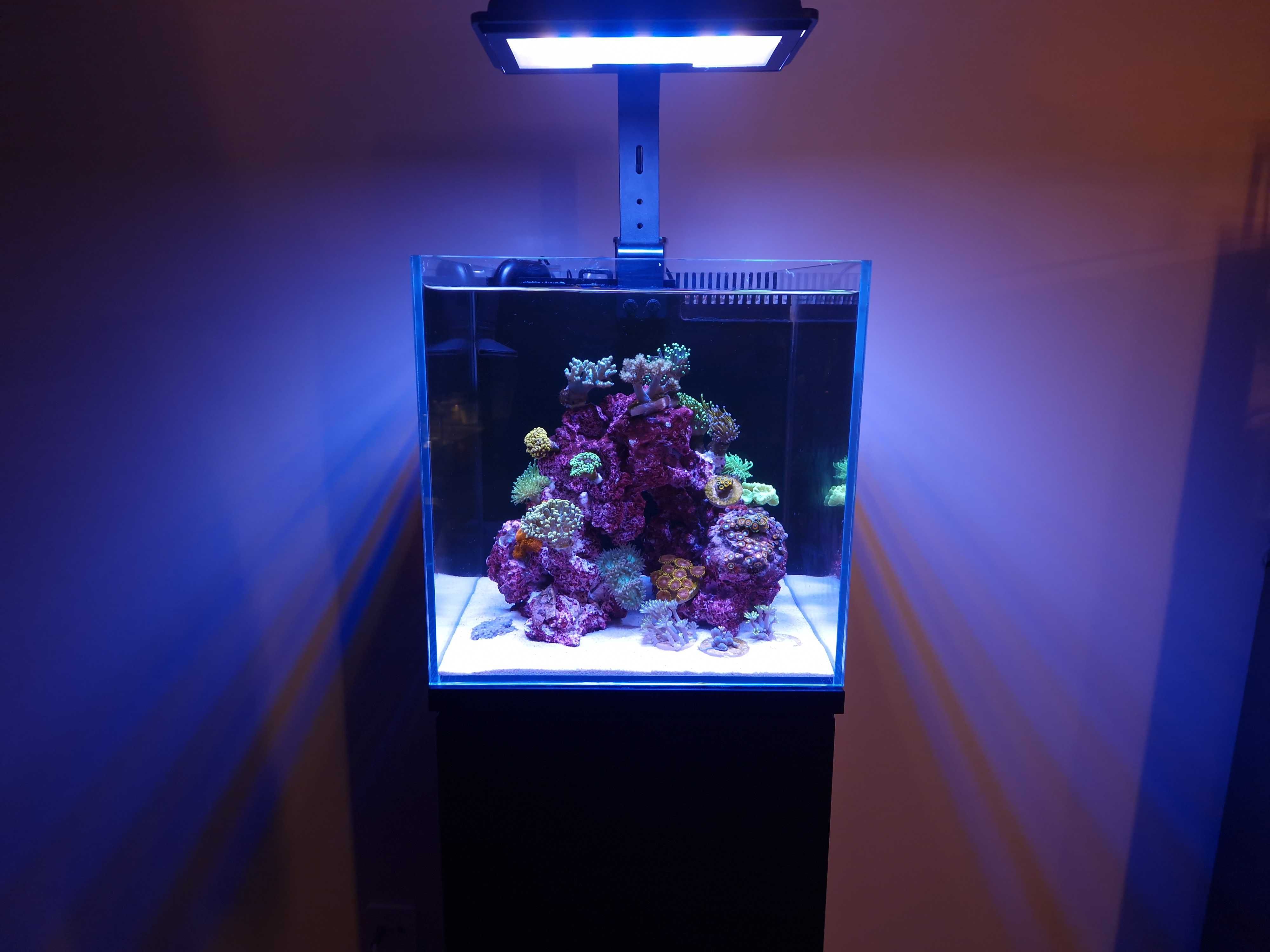 Zestaw ReefHouse Set 30 Kompletne Akwarium Morskie Dla Początkujących