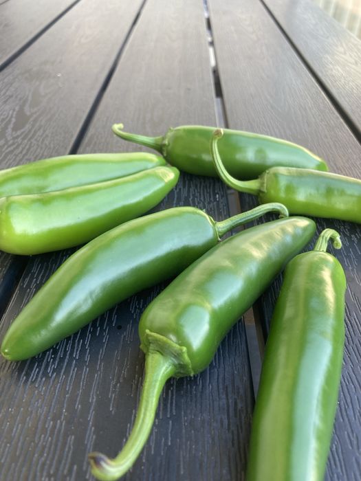 Papryka jalapeno mix 2kg + 0.5kg czeresniowej