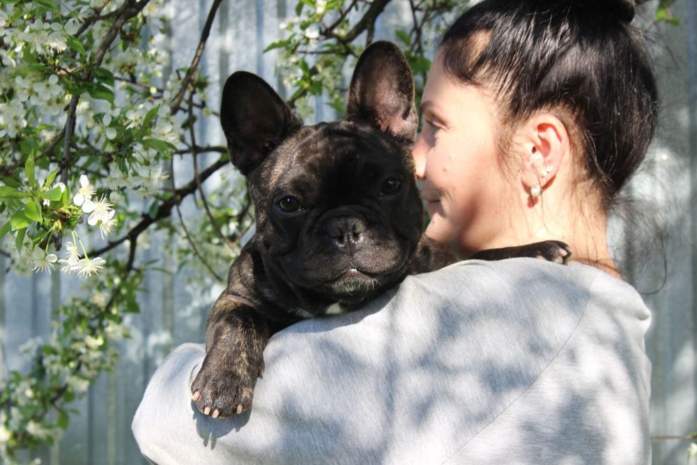 Француженка WKU KKU