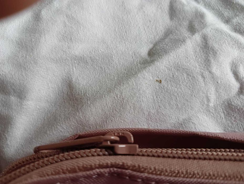 Pudrowy Róż plecak FJALLRAVEN KANKEN Classic - 16 litrowy