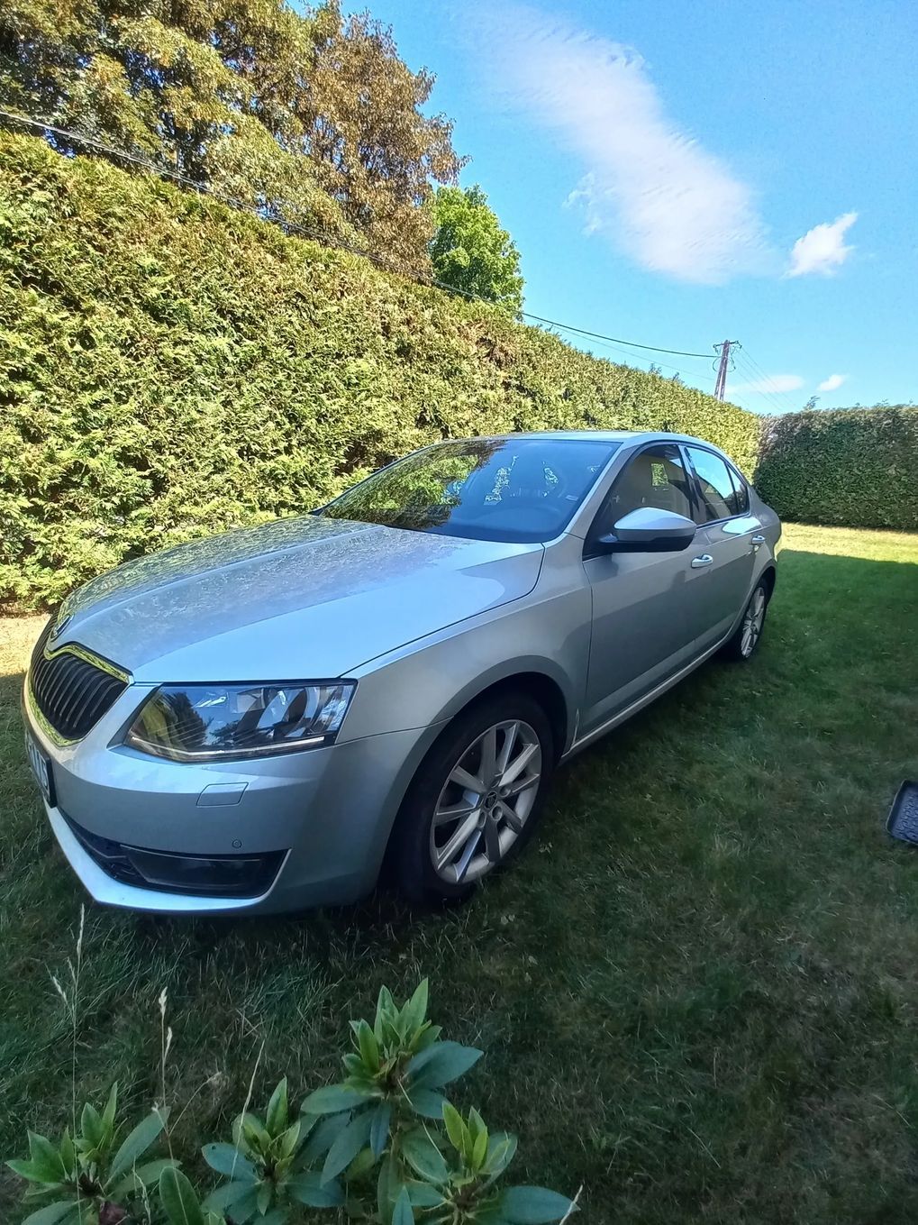 Skoda Octavia Skoda octavia 3 1.4 tsi Elegance