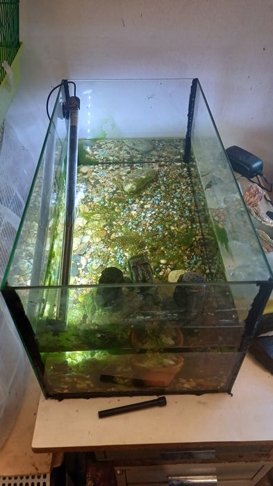 Aquario  semi novo