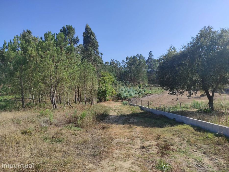 Longra I Caranguejeira I Leiria