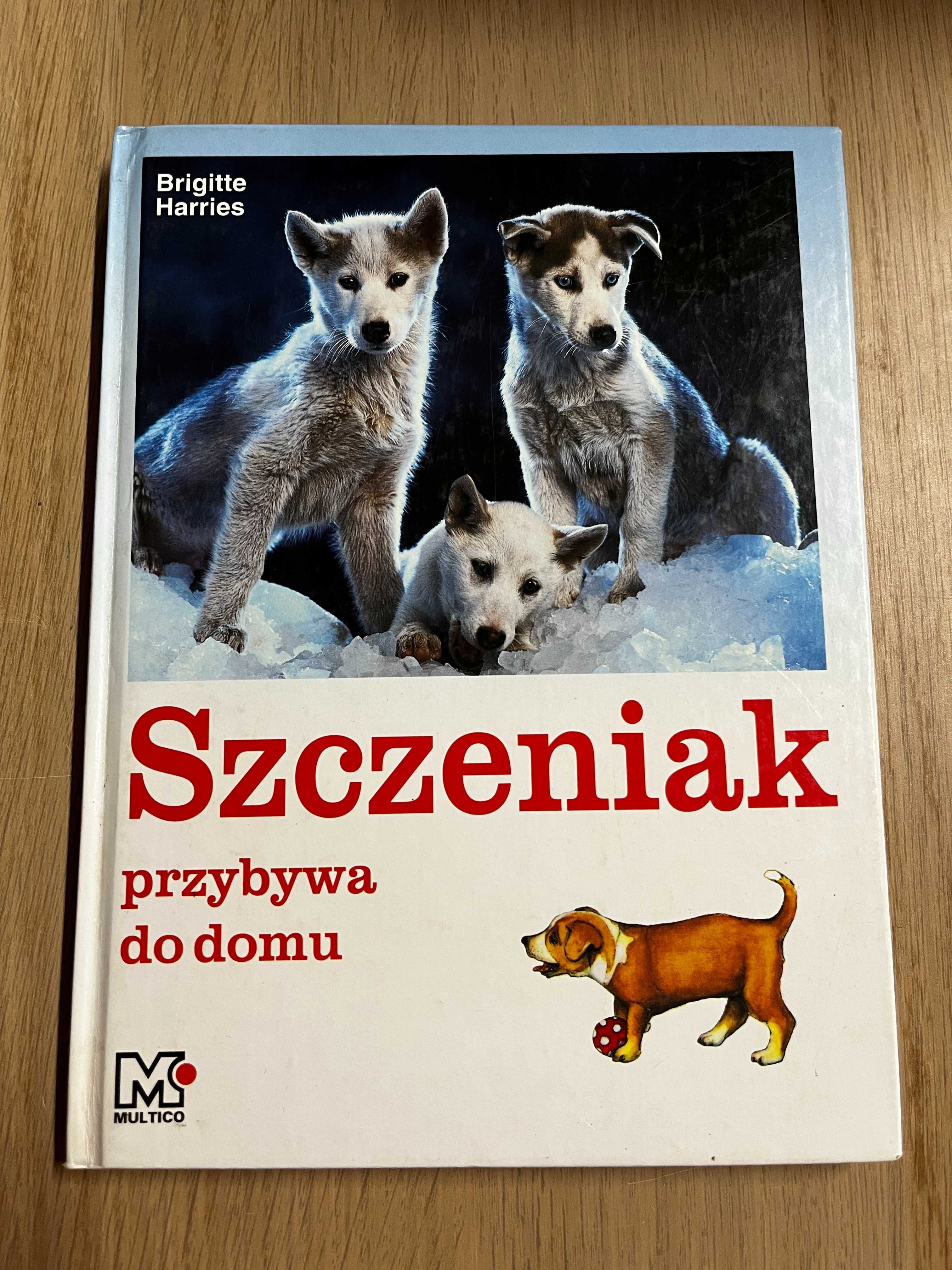 Szczeniak przybywa do domu - Brigitte Harries - książka