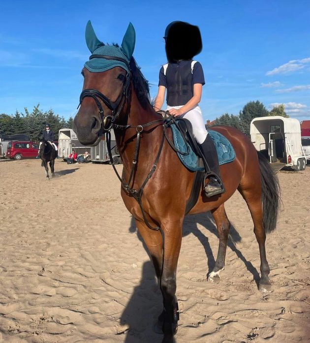 Czaprak Eskadron Teal Blue