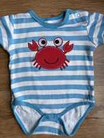 Body letnie krab