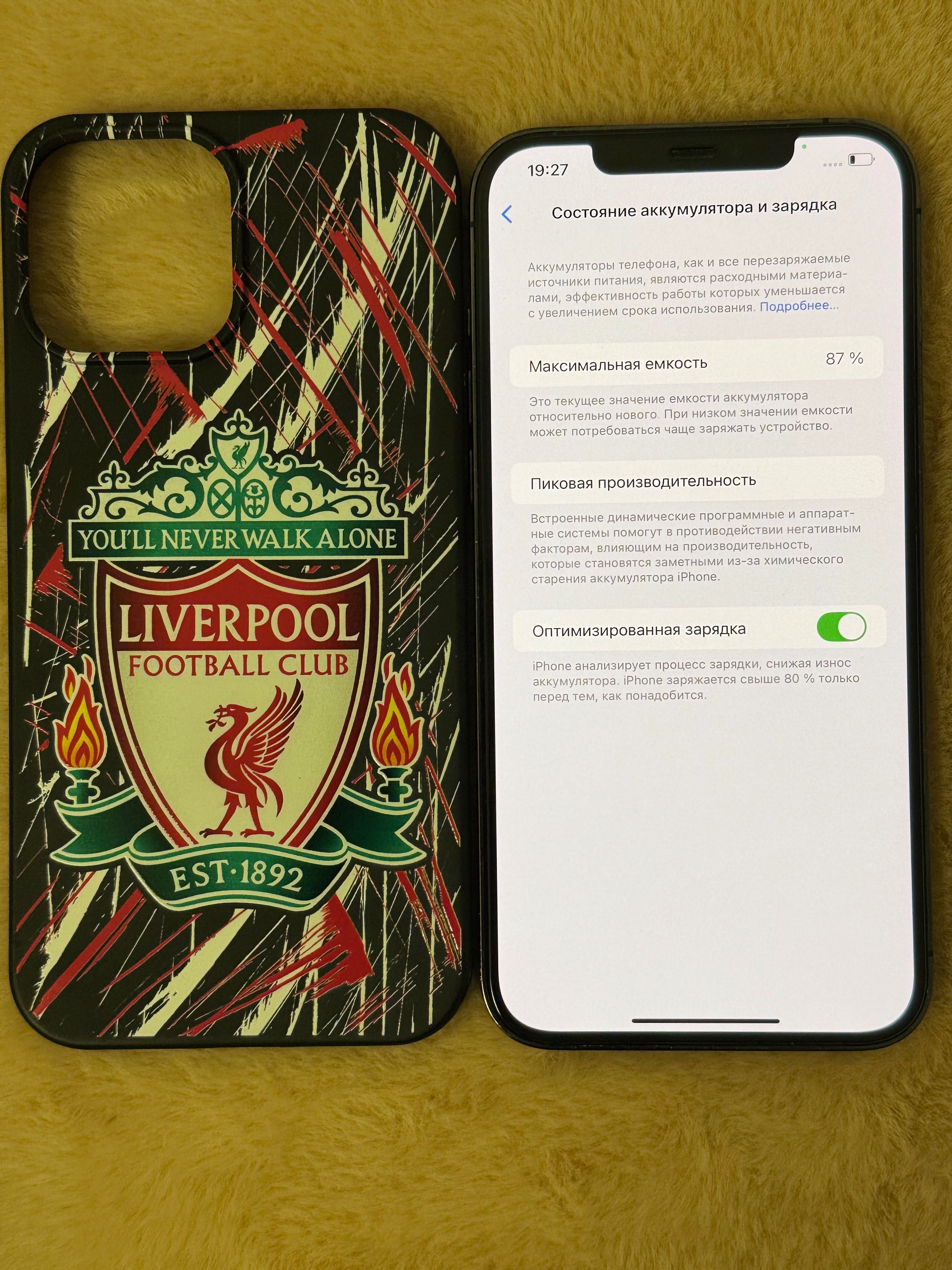 iPhone 12 Pro Max -256 Gb