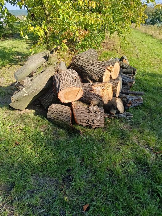 Drewno na opał iwanowice